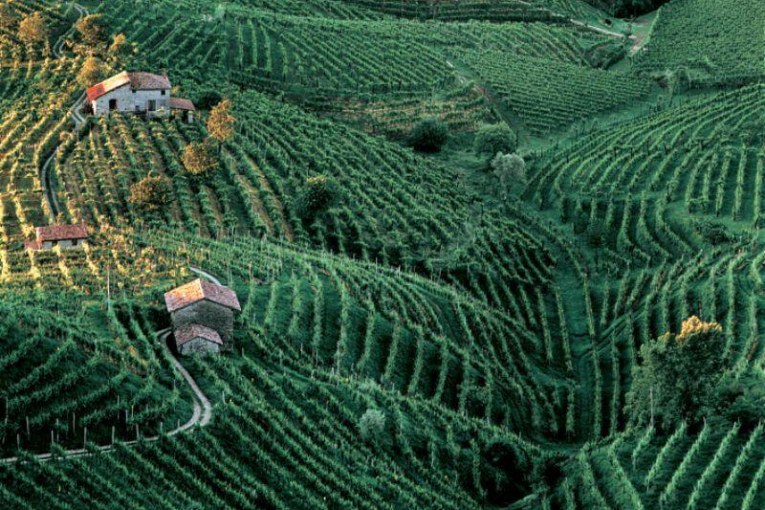 LE COLLINE NEOPATRIMONIO UNESCO SOTTO I RIFLETTORI:  INTERVIENE LA CONFRATERNITA DI VALDOBBIADENE