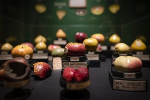 Oltre il Giardino ph Paolo Mantovan